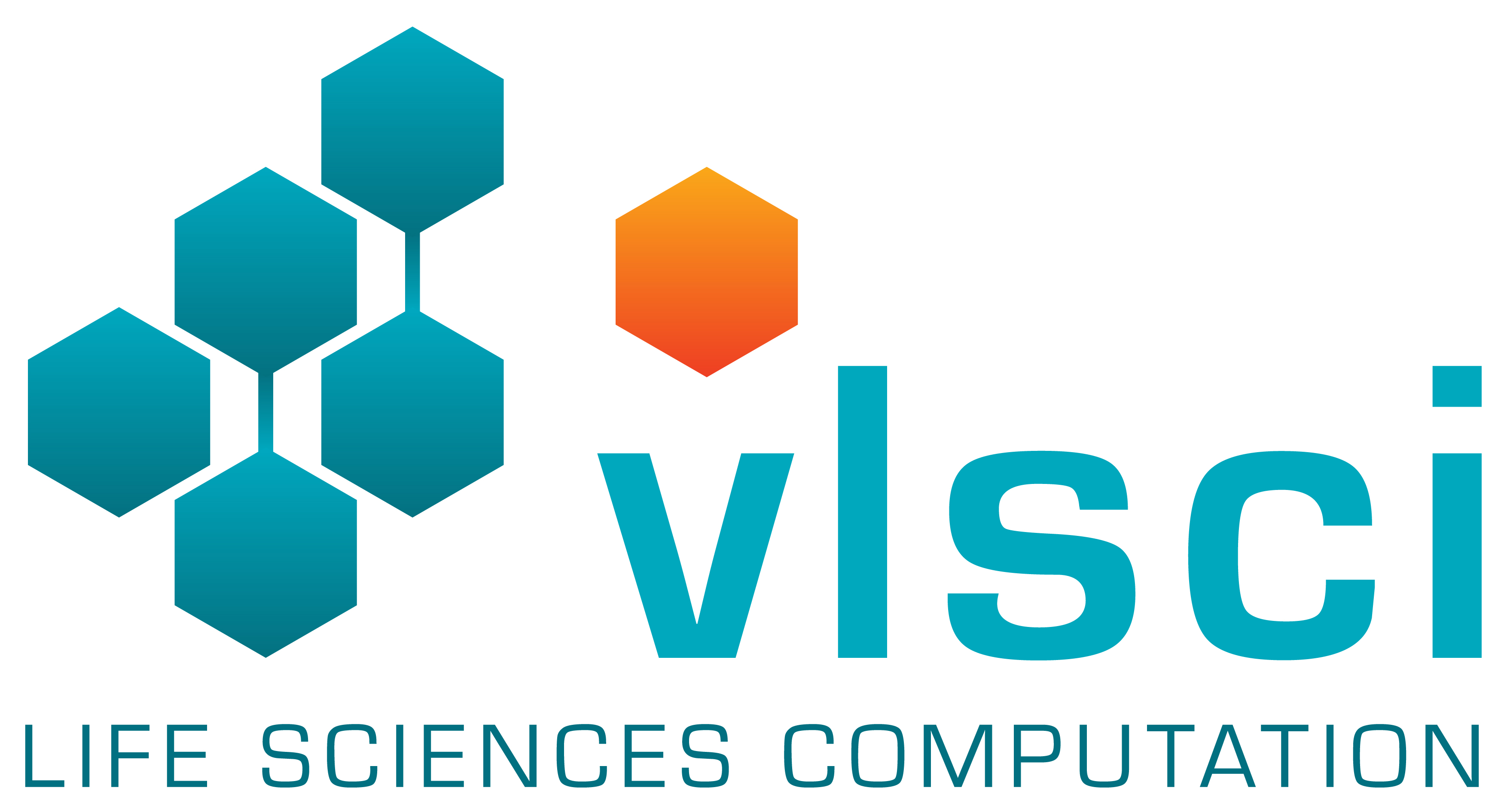 logo_vlsci_(RGB)